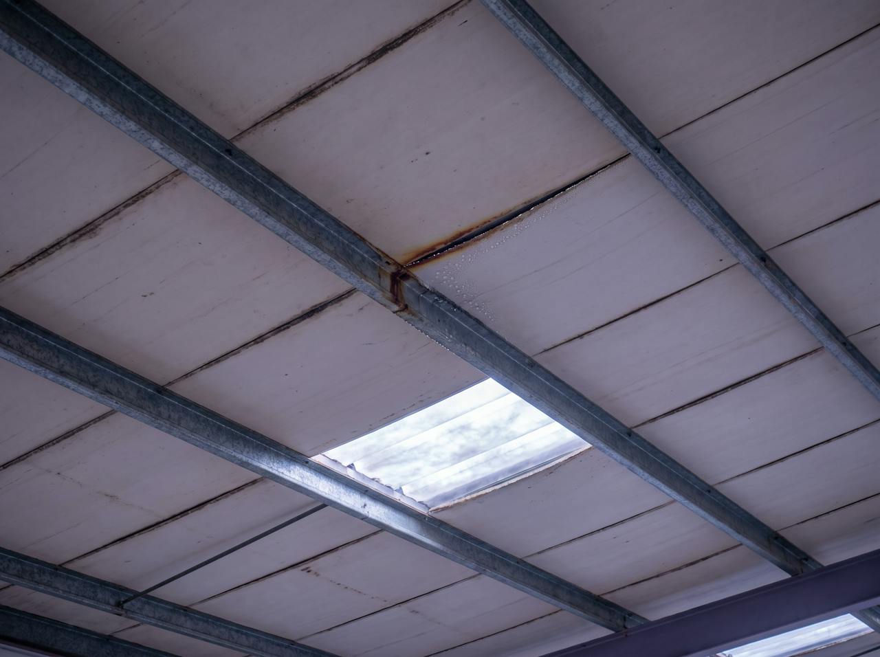 Looking up inside an industrial unit on a cold morning: the underside of an aged composite insulated-panel roof, wide flat off-white inner-skin panels, straight joint lines with a rust streak and a line of condensation beads where one joint has opened, purlin flanges at intervals.