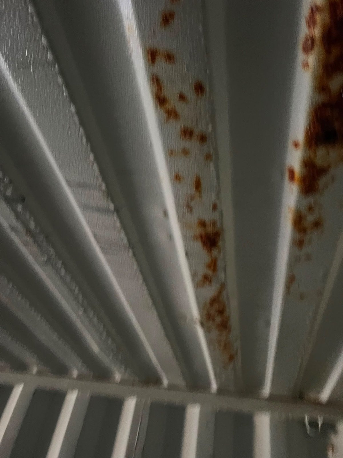 Before: corrosion across the container ceiling from condensation forming on the cold steel.