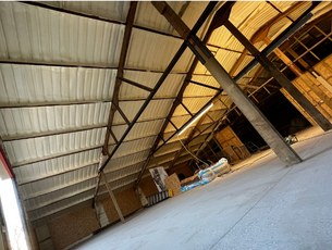 Looking along the eaves of the warehouse towards an open door: the sprayed cream underside of the corrugated roof meeting the steel columns, daylight across the floor.