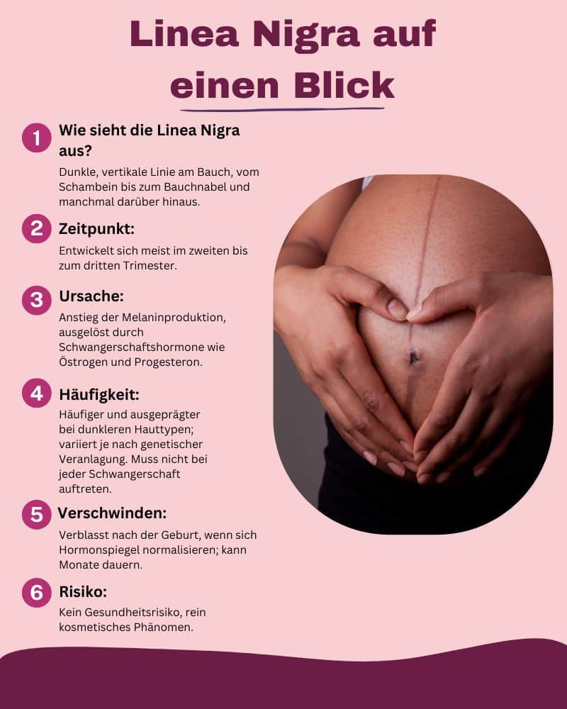 Linea Nigra auf einen Blick Fakten