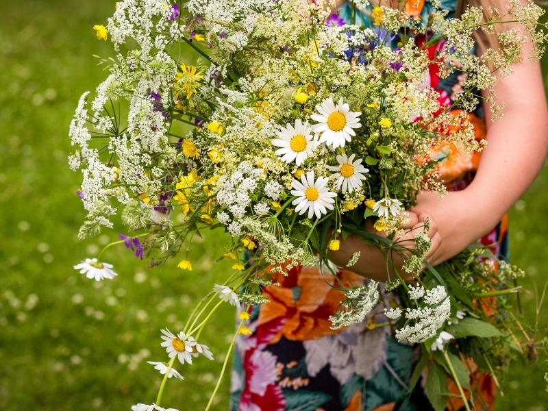 Mittsommerfest