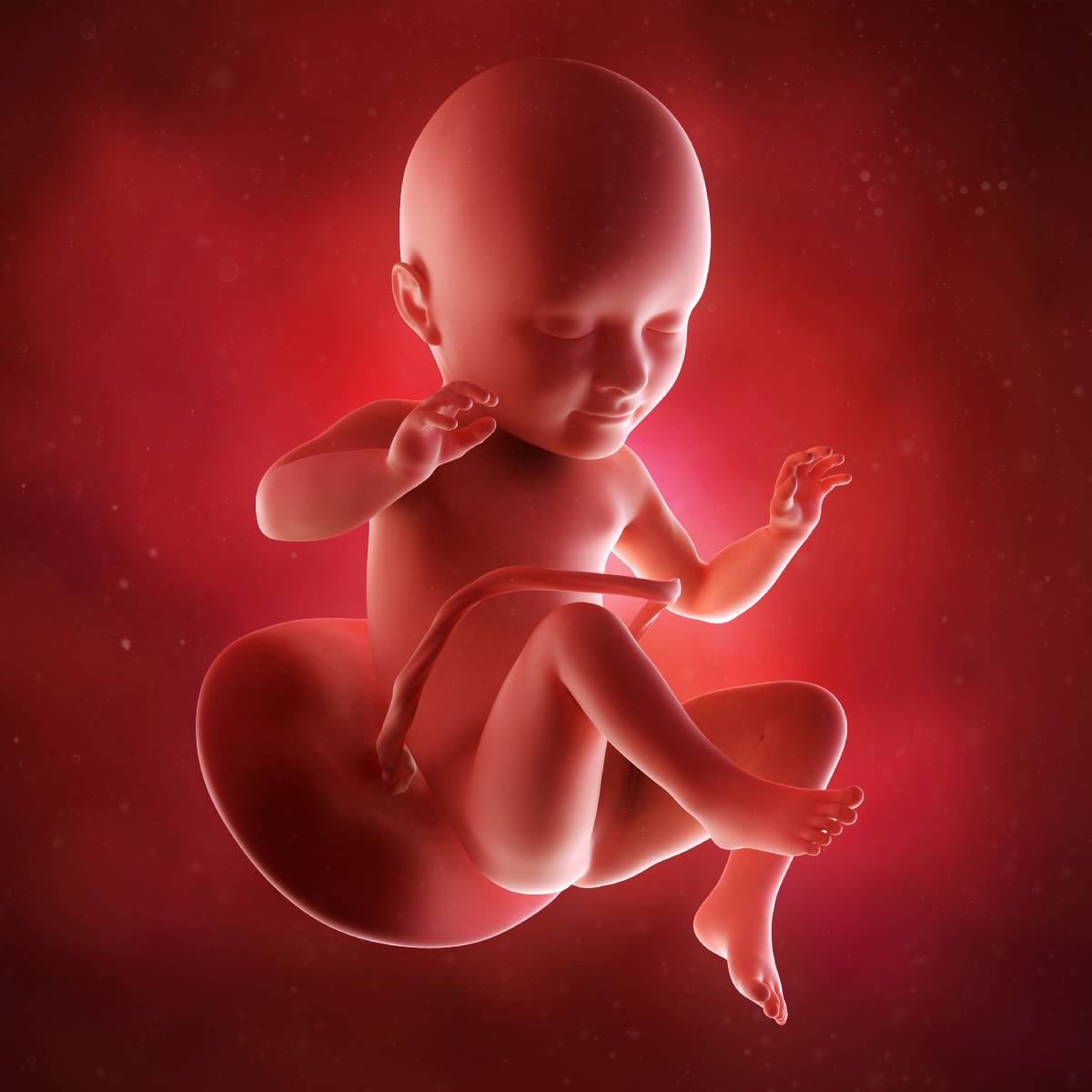 Schwangerschaftswoche 34 Fötus Embryo