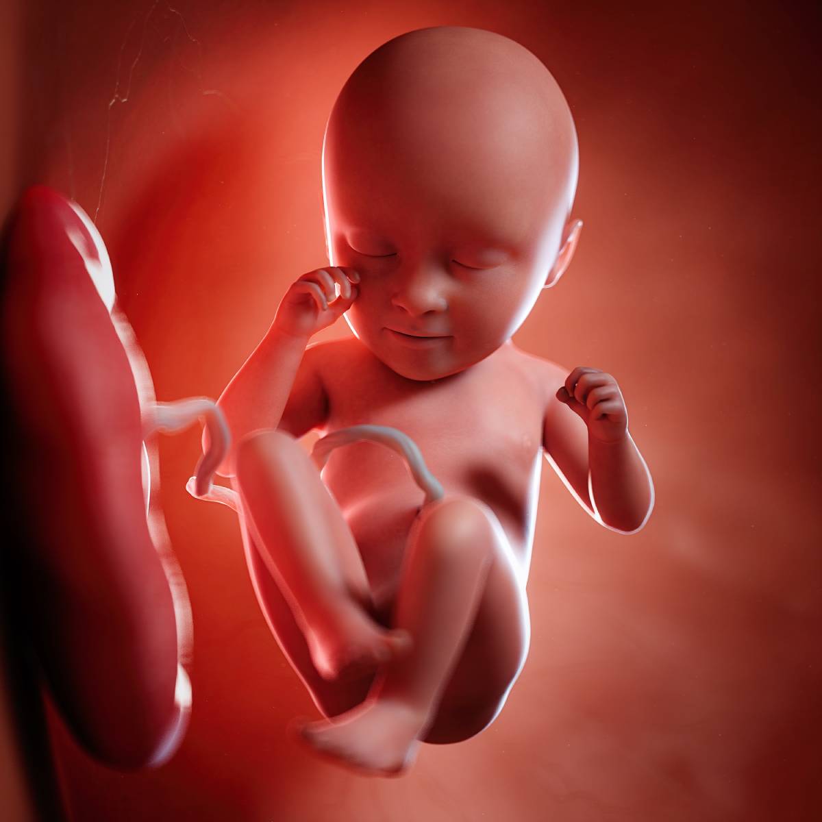 Schwangerschaftswoche 35 Fötus Embryo
