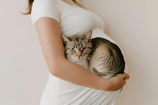 Darf ich in der Schwangerschaft und mit Baby eine Katze haben?