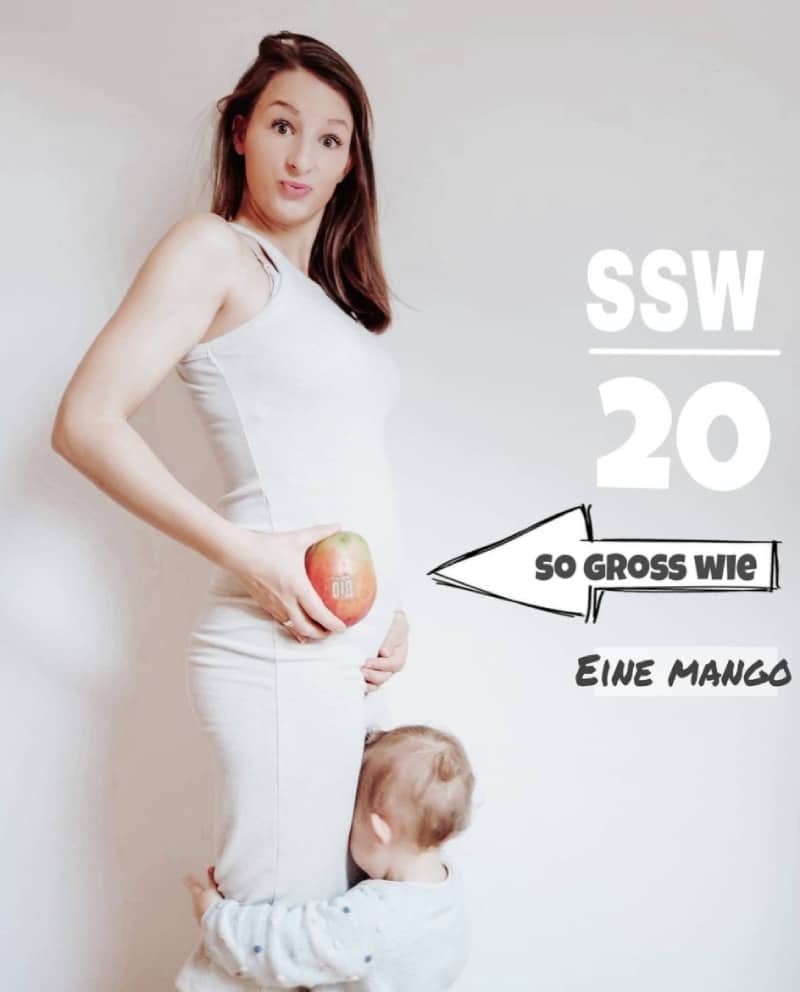 Schwangerschaftswoche 20 Fötus Embryo