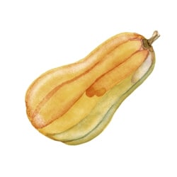Schwangerschaftswoche 29
