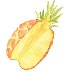Schwangerschaftswoche 33