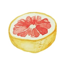 Schwangerschaftswoche 15