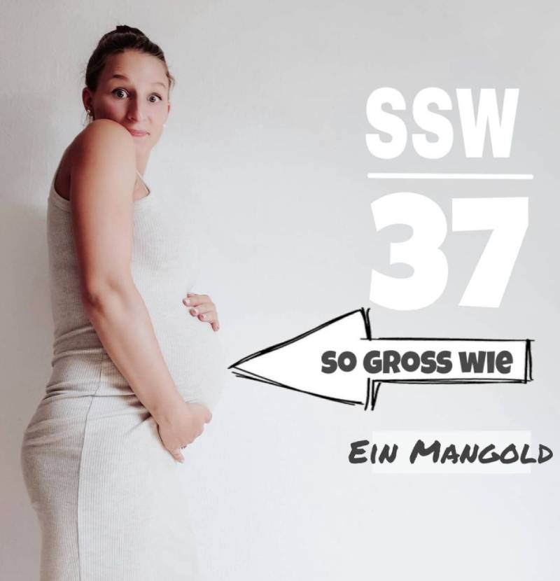 Schwangerschaftswoche 37