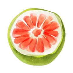 Schwangerschaftswoche 39