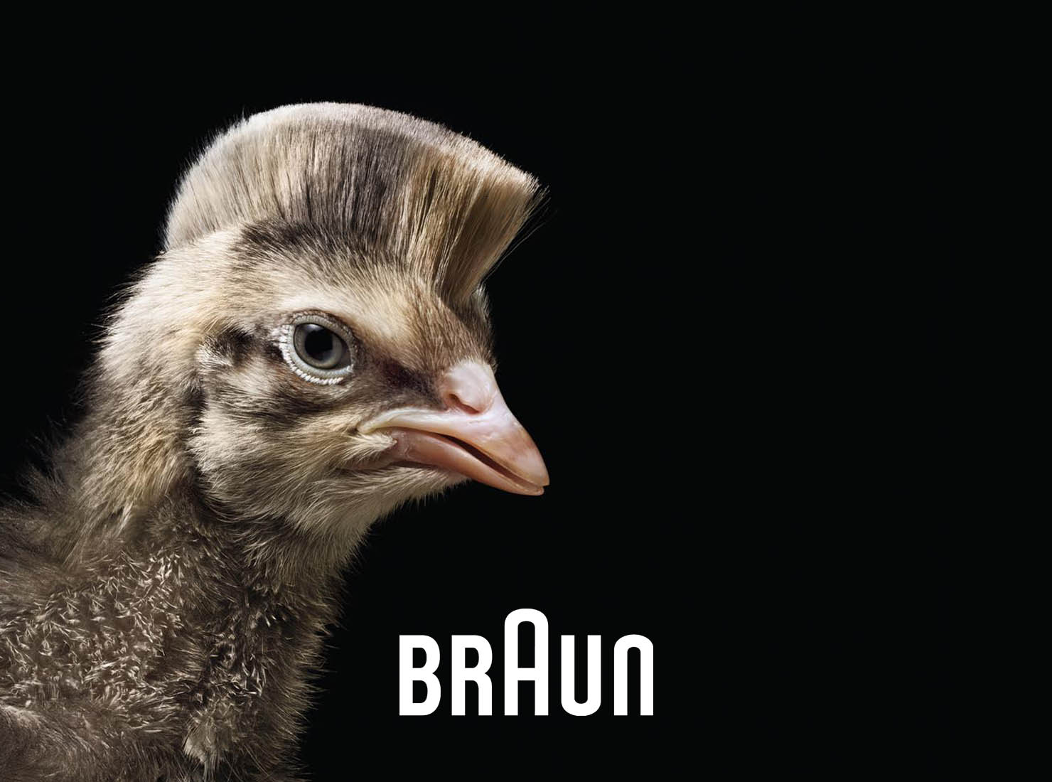 Braun