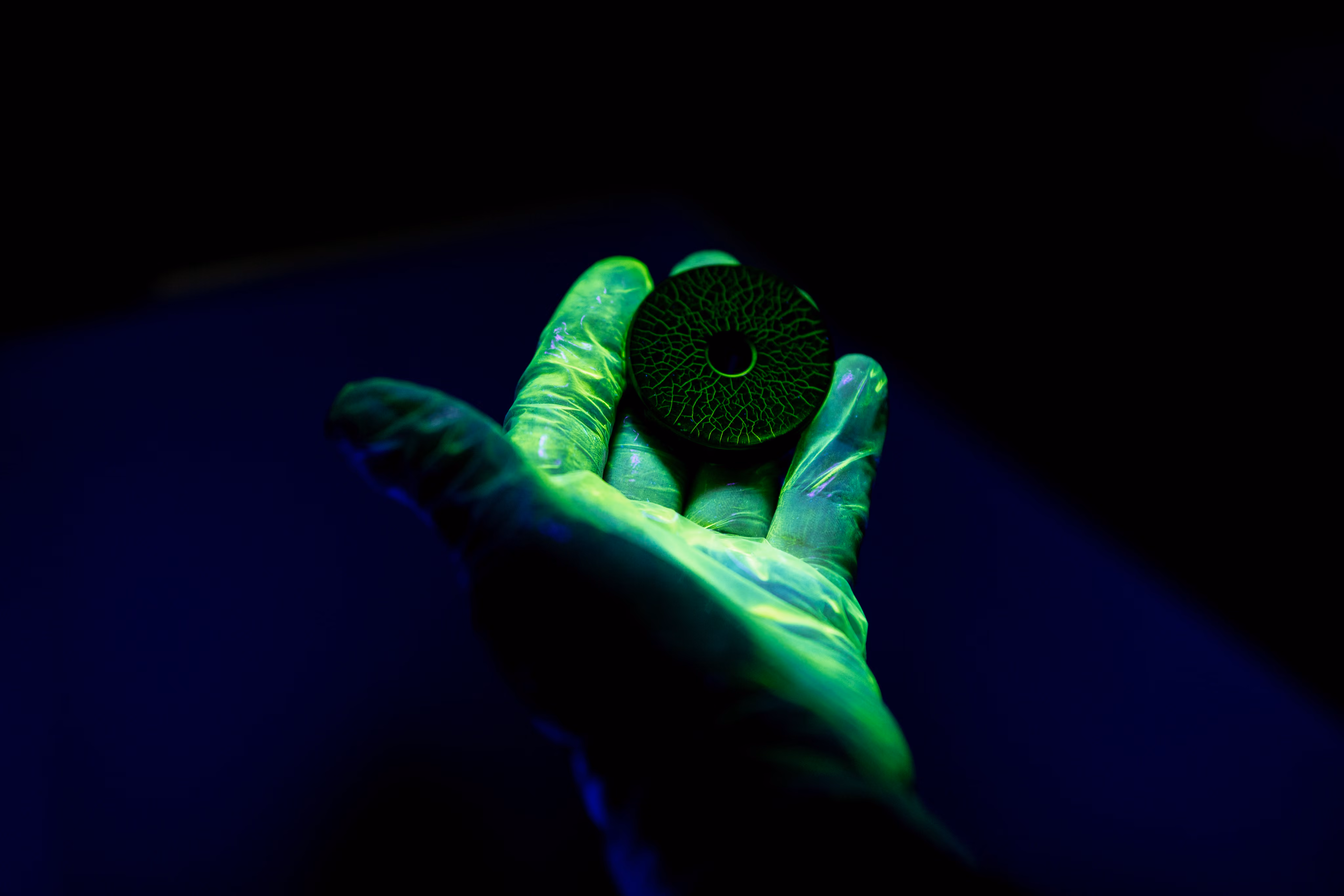 Hand mit schützender Handschuh hält ein rundes Objekt mit fluoreszierenden grünen Adern unter Schwarzlicht.