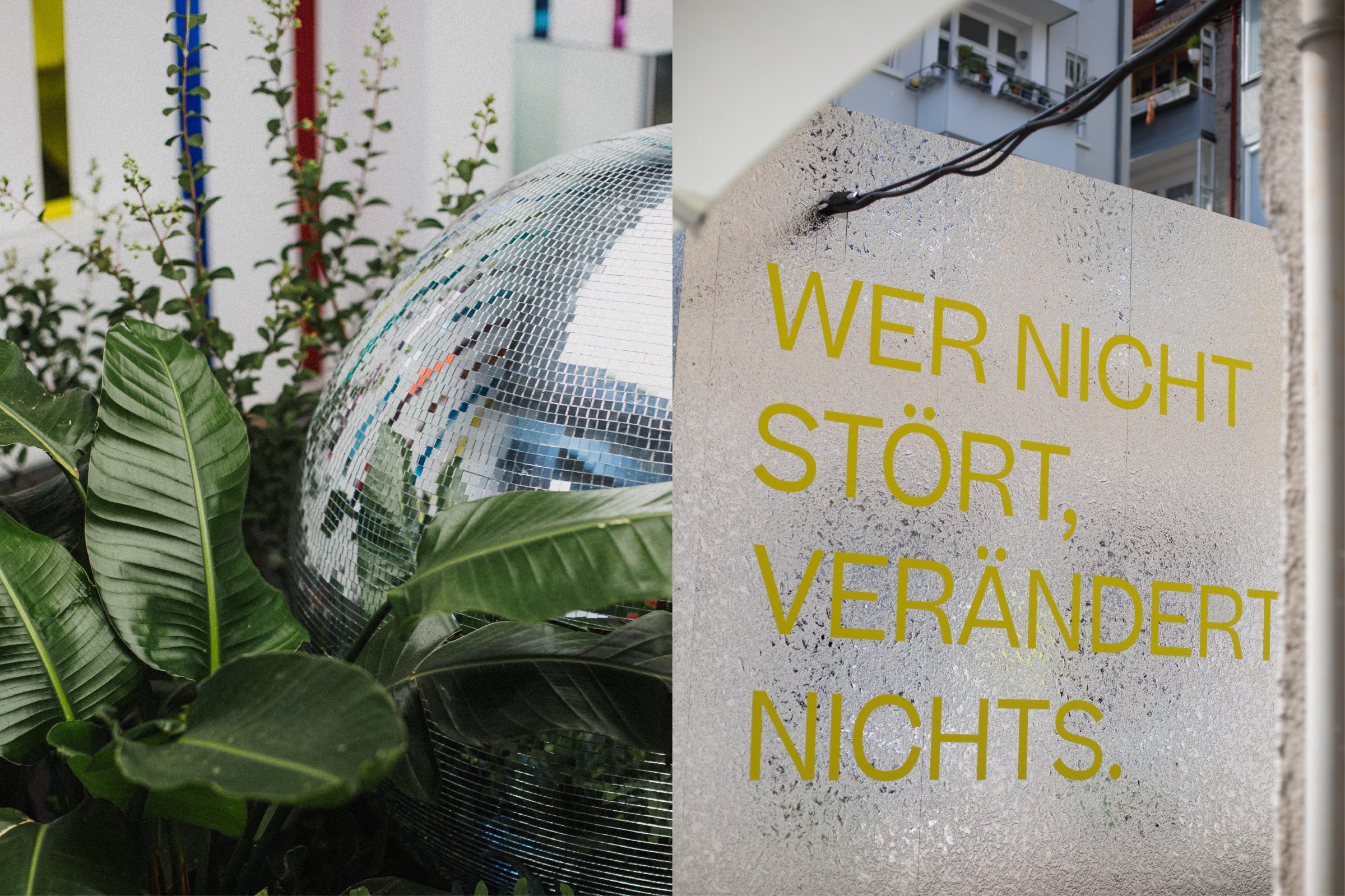 Diskokugel zwischen Grünpflanzen und Wandschriftzug „Wer nicht stört, verändert nichts.“