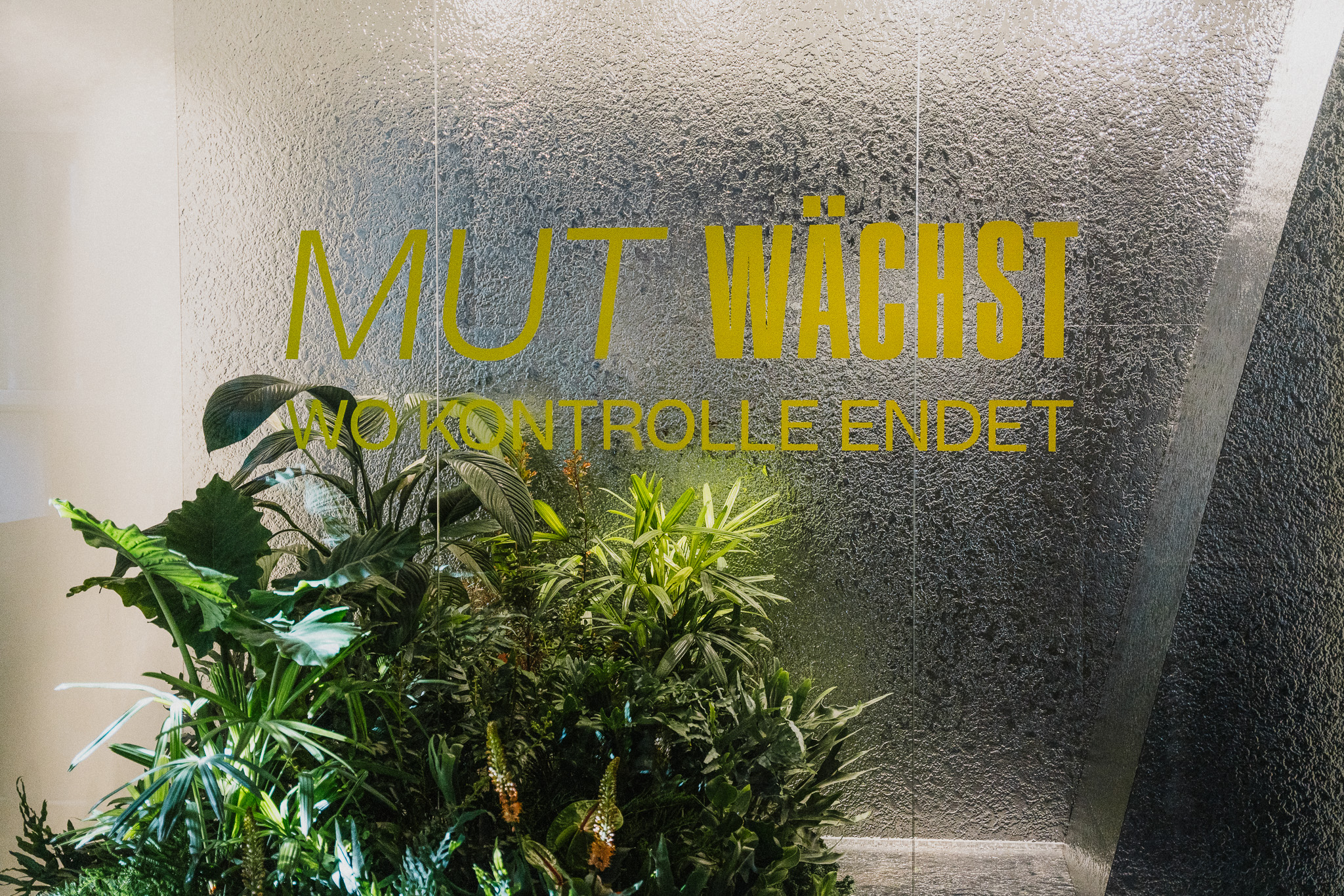 Milchglaswand mit gelbem Schriftzug „Mut wächst, wo Kontrolle endet“ hinter Grünpflanzen