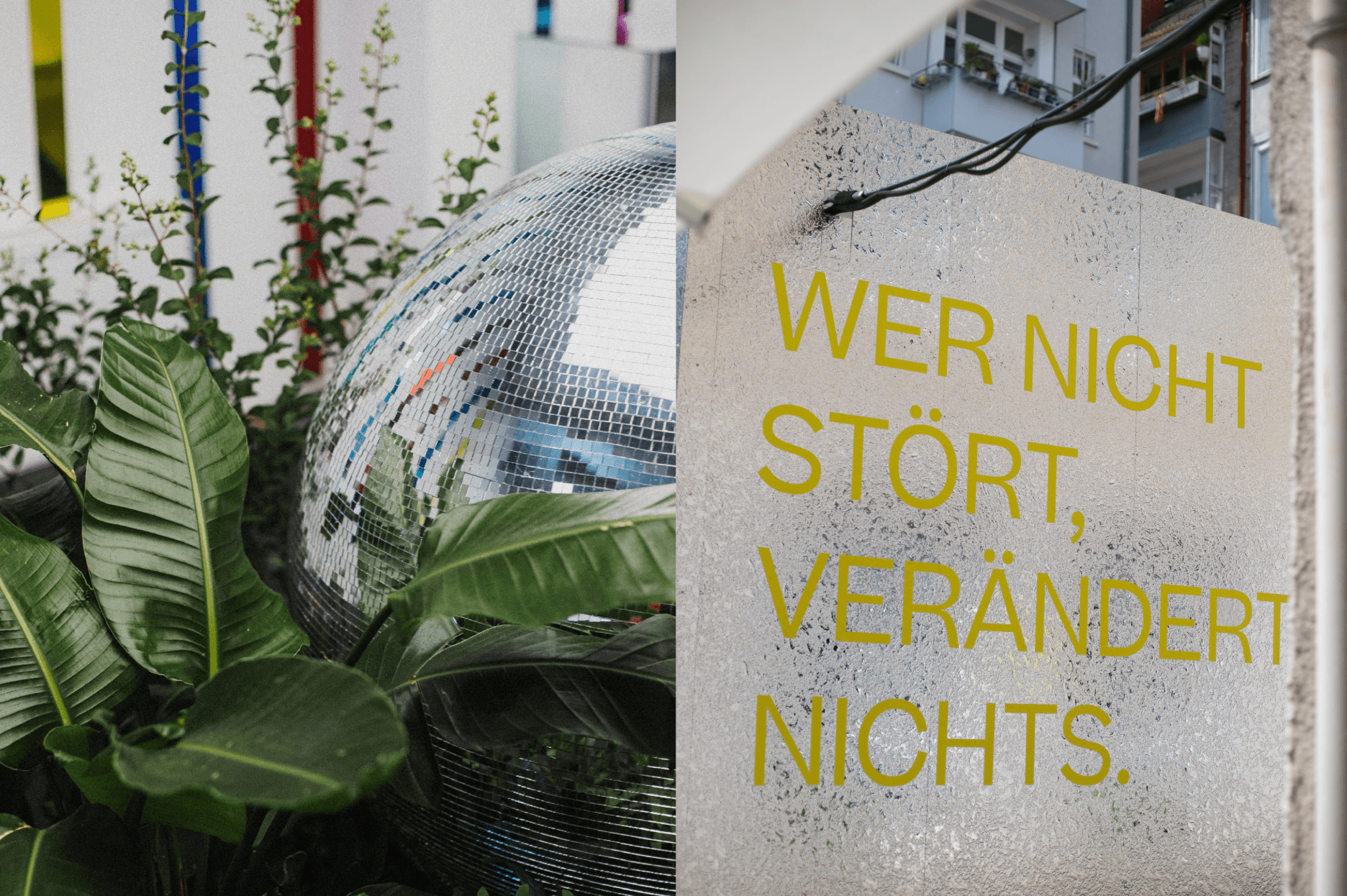 Diskokugel zwischen Pflanzen und Glaswand mit Schriftzug „Wer nicht stört, verändert nichts"