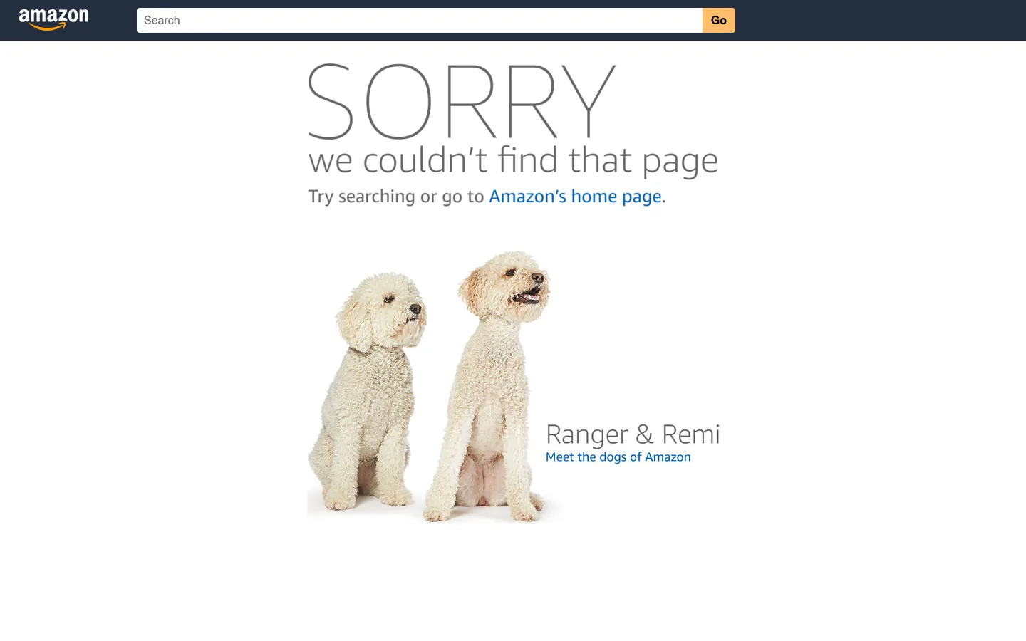 Amazon 404 page saying Sorry we couldn't find that page with a photo of two dogs named Ranger and Remi