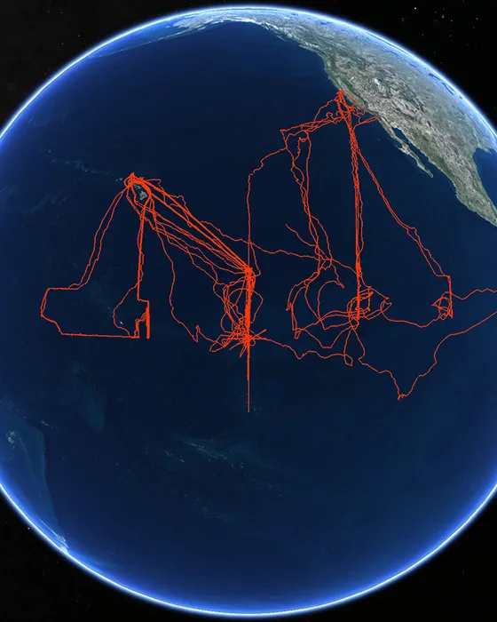 Saildrone mission tracks to equator
