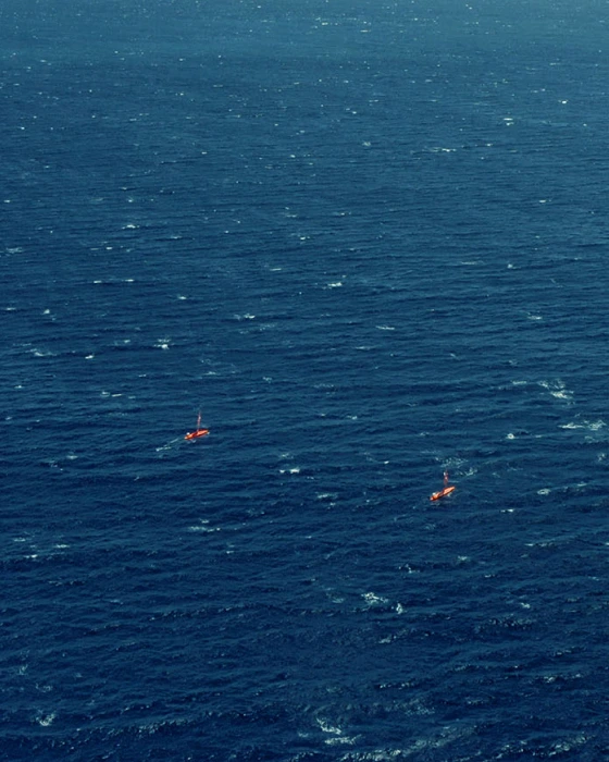 Saildrone fleet