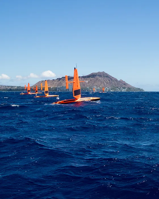 Saildrones with Diamondhead in the background