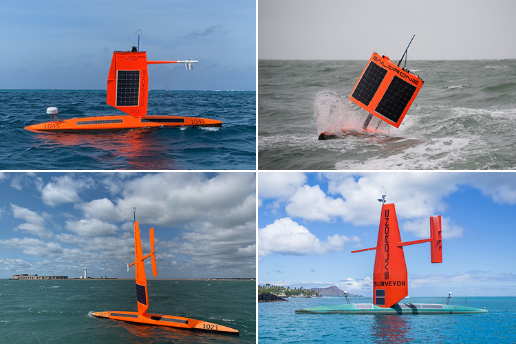 Famous saildrones at sea