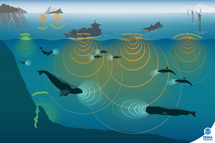 Passive acoustic soundscape illustration