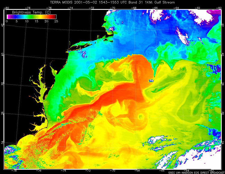 A heat map showing the Gulf Stream current in red, which carries warm water up the eastern coast of the United States and collides with cold North Atlantic waters. Photo: NASA Earth Observatory.