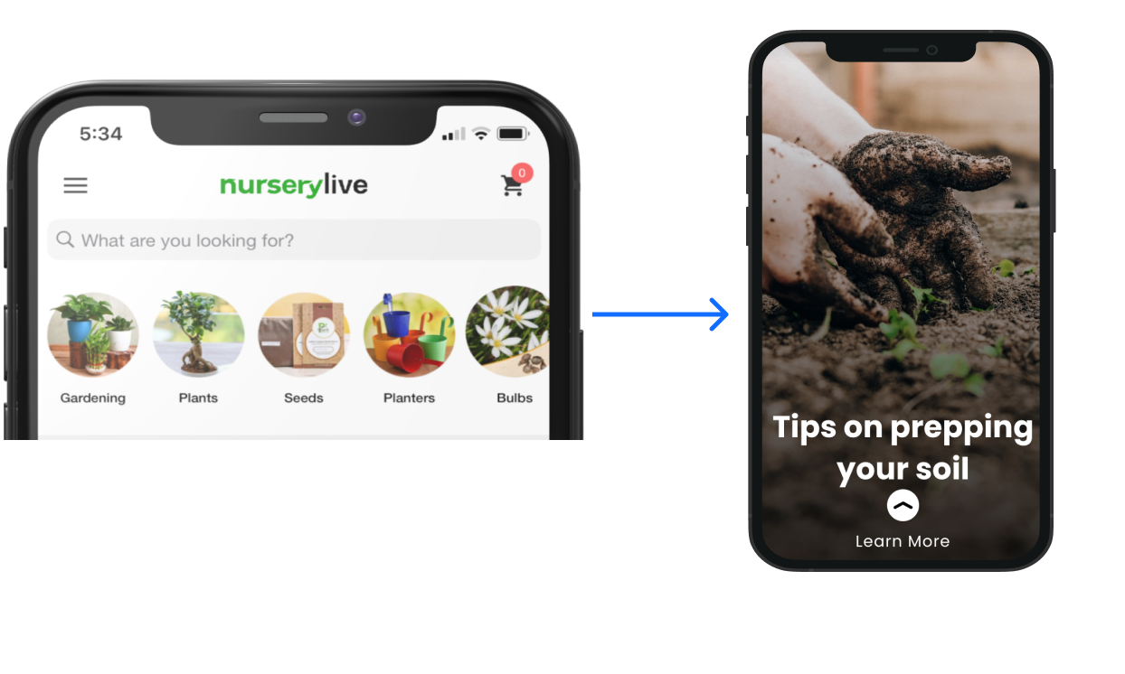 Example of in-app stories and a story landing page
