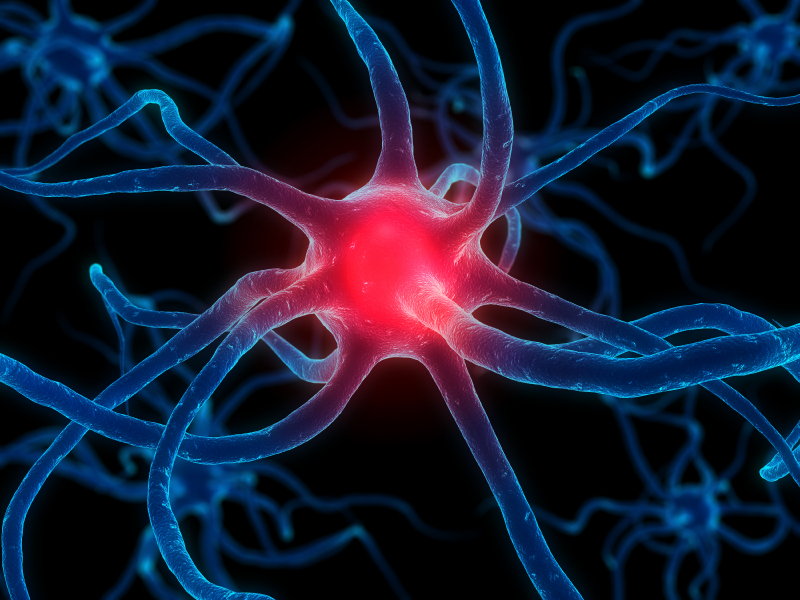 Brain Waves Could Replace Passwords