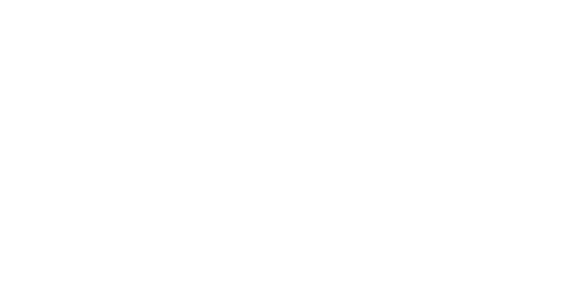 DIS Systems Logo