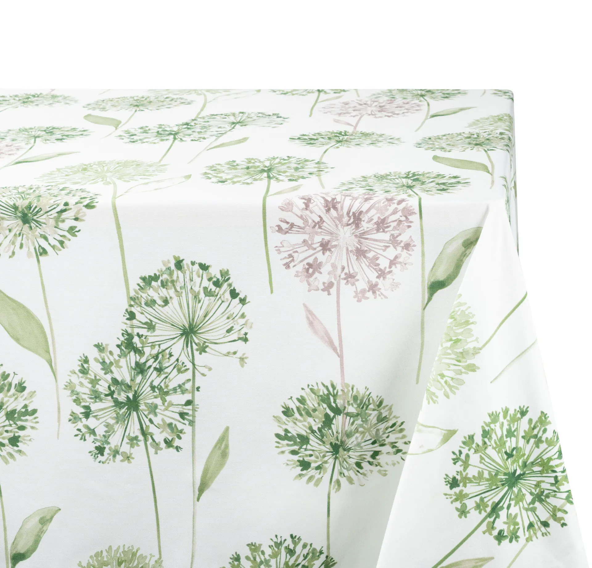 Green Allium