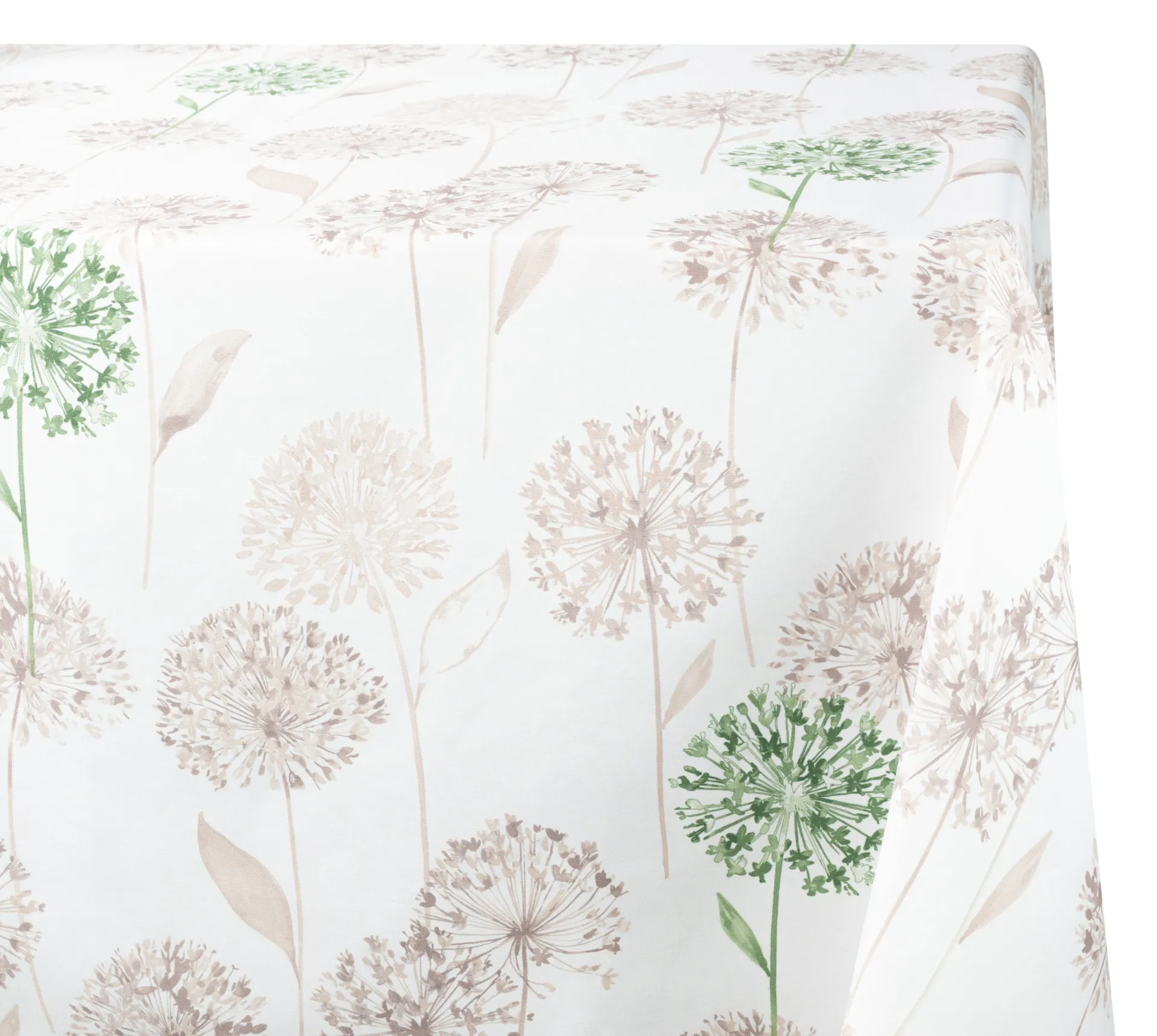 Taupe Allium