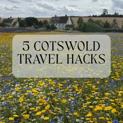 Yellow, white and purple wild flowers at Cotswold Lavender