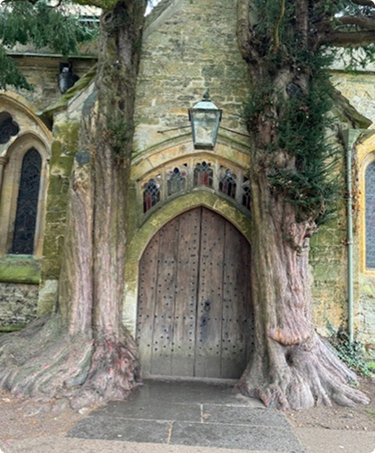 The famous "Tolkien Door" surrounded by ancient trees either side and an old large lamp hanging above the door.