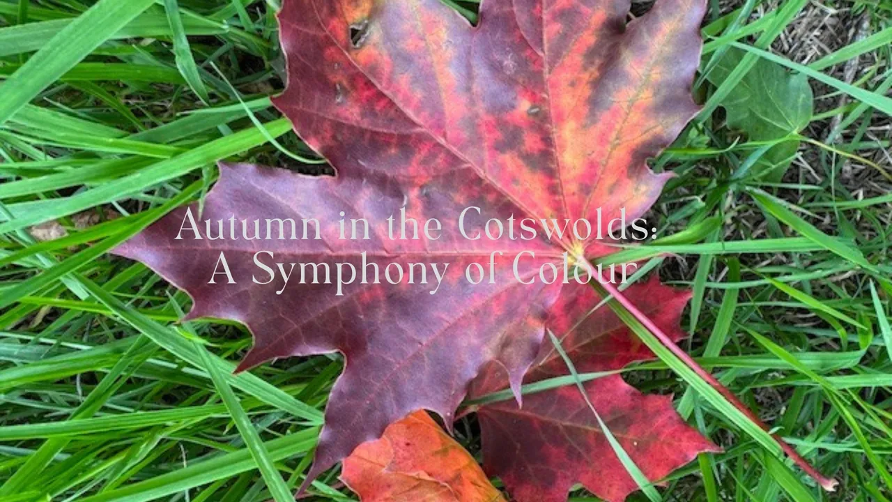 Red leaf on green grass