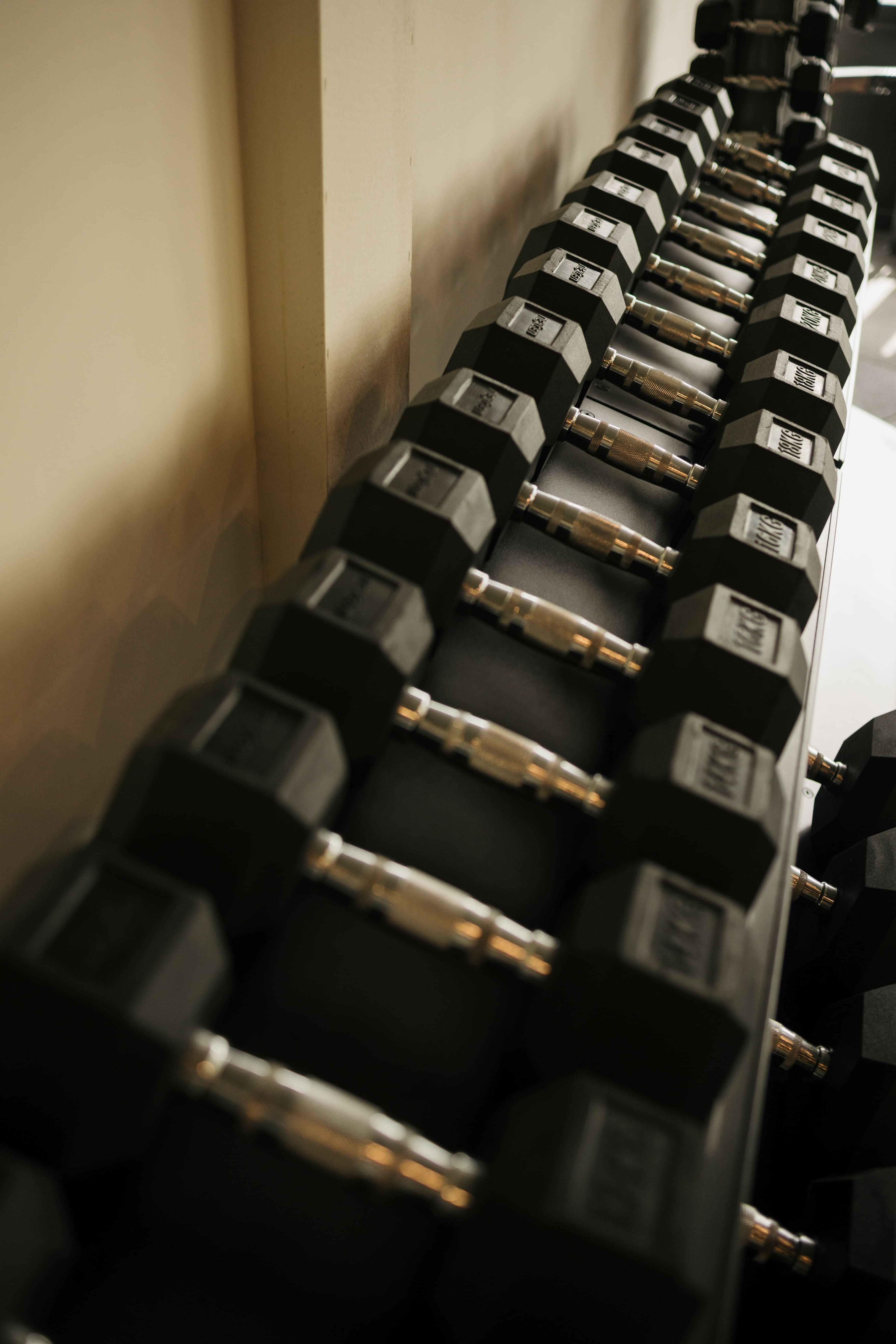 gym fotos