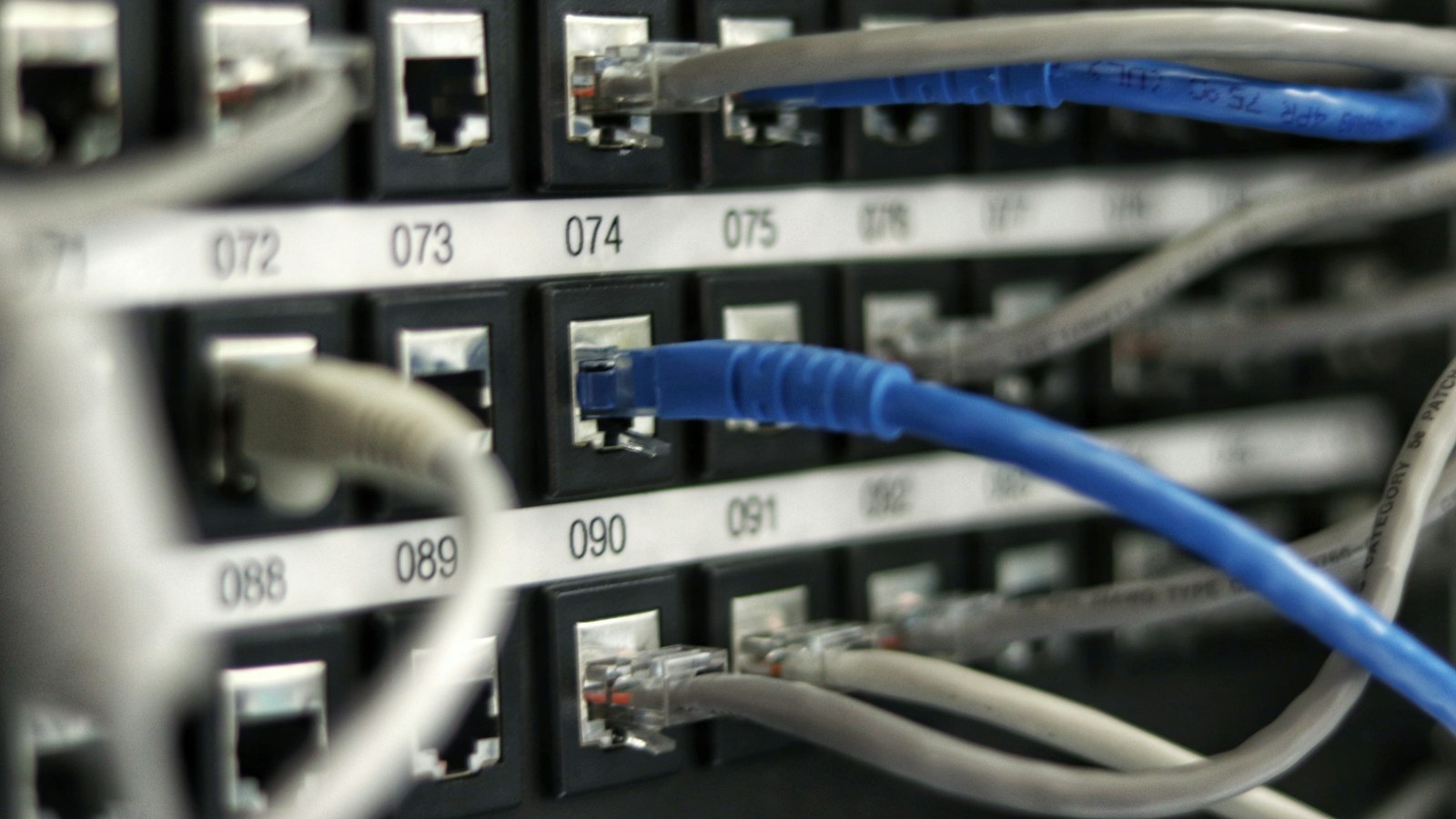 Câbles réseau Ethernet bleus en gros plan, reliés à un équipement de baie informatique dans des tons froids
