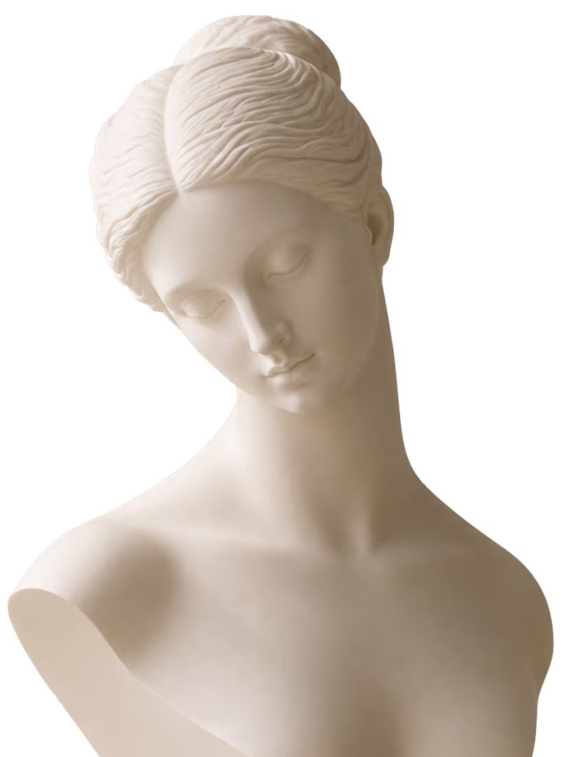 Modern / Classic Statue Bust