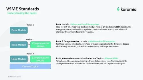 How to Create a VSME Report That Fits Your Business