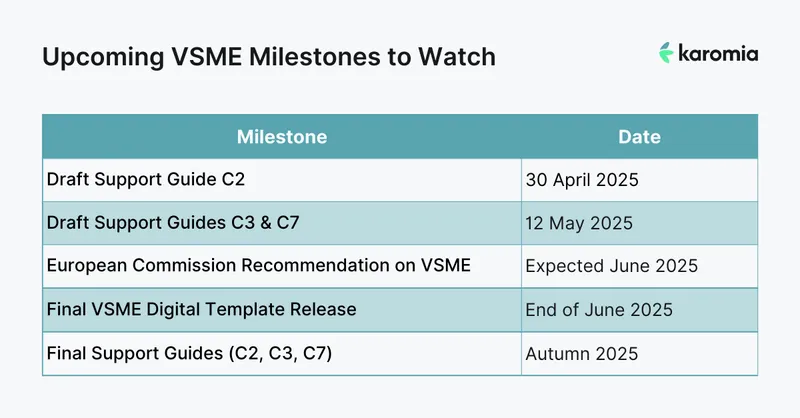 Timeline for VSME standards updates