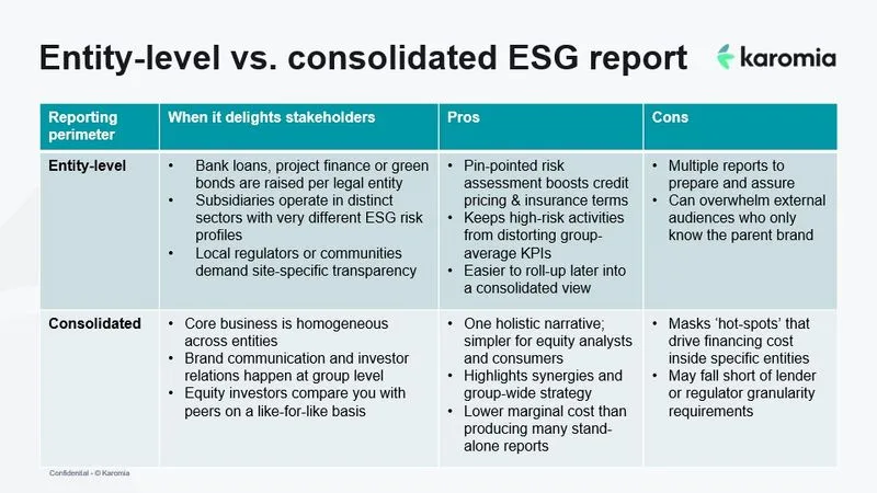 Entity-level vs. consolidated ESG reportβ