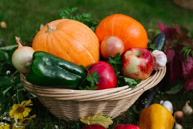 food safety systems
