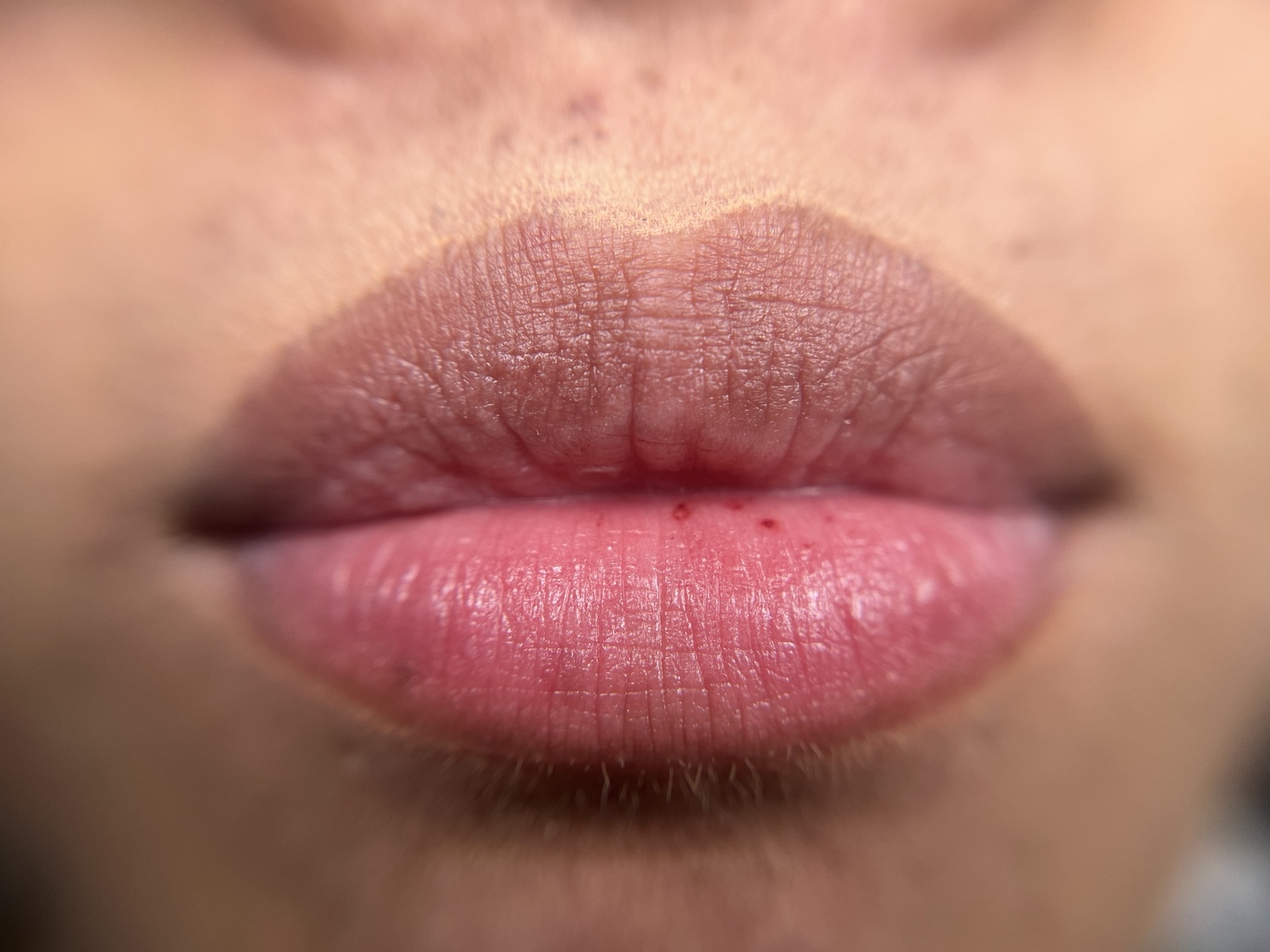 Healed Lip Blushing