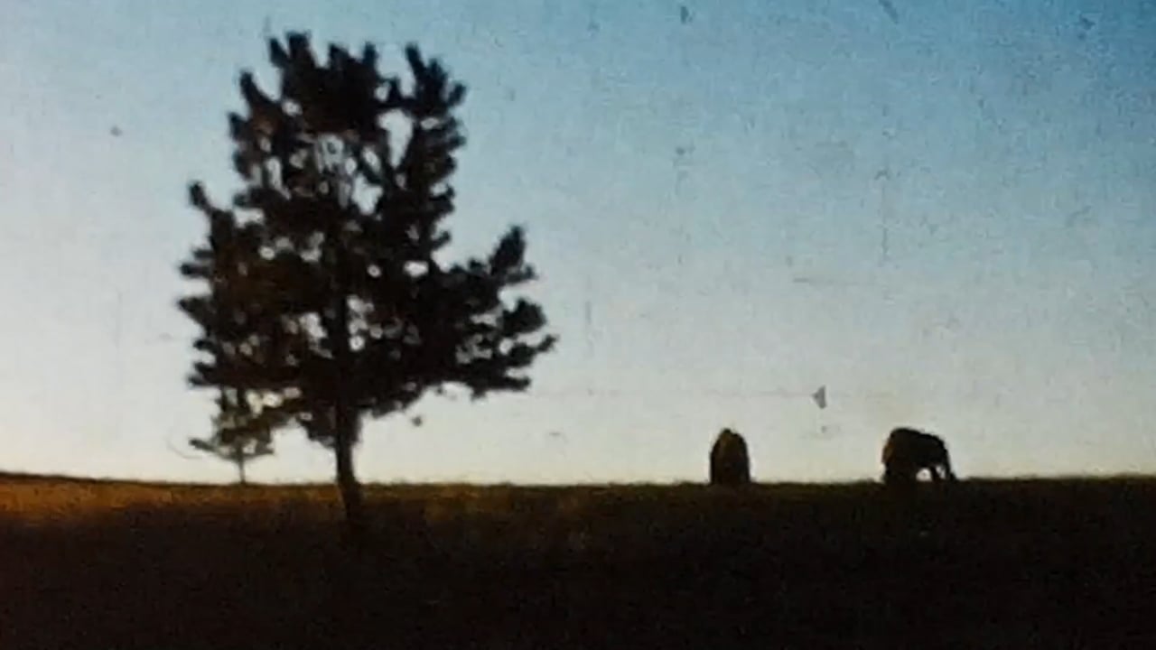 Thumbnail for Harvest is Plentiful