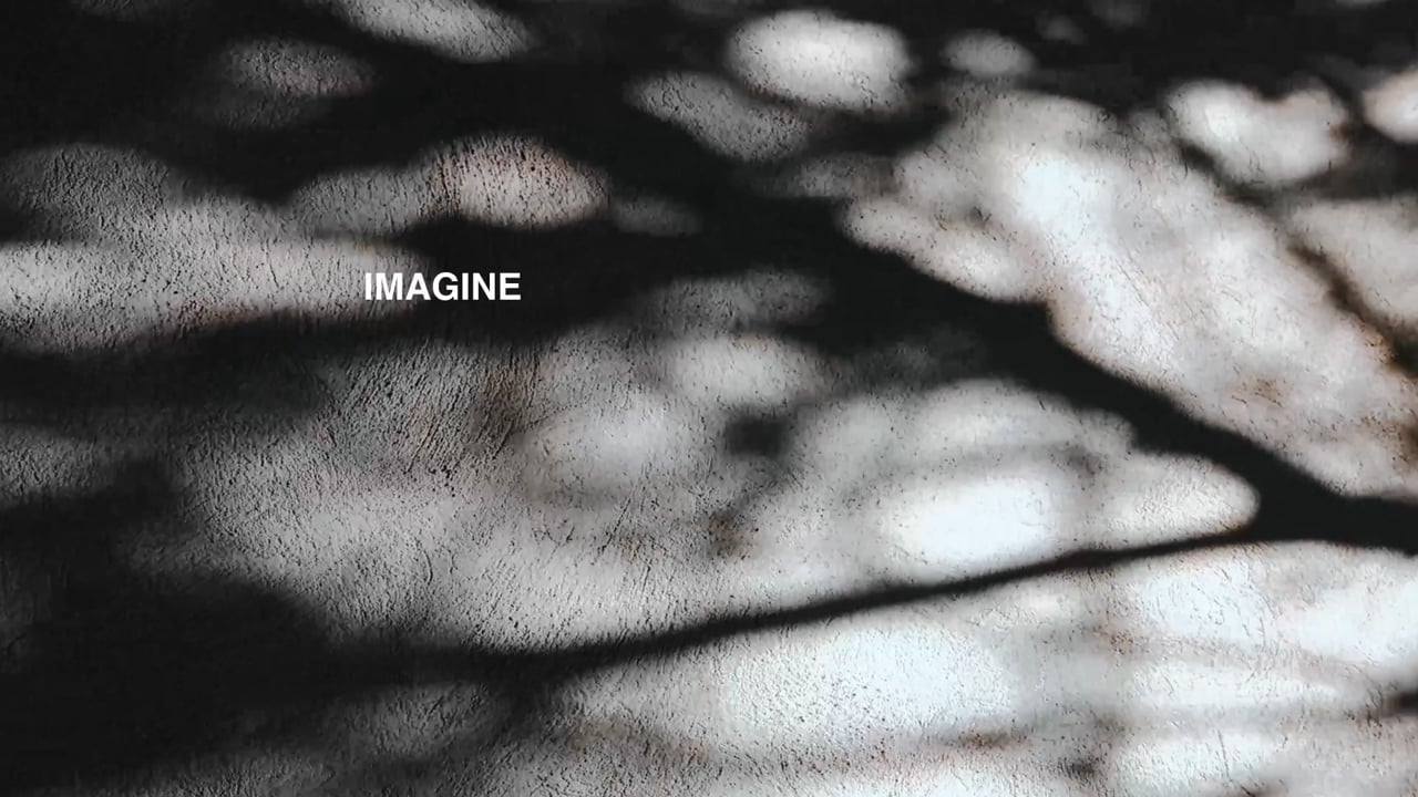 Thumbnail for Imagine losing everything