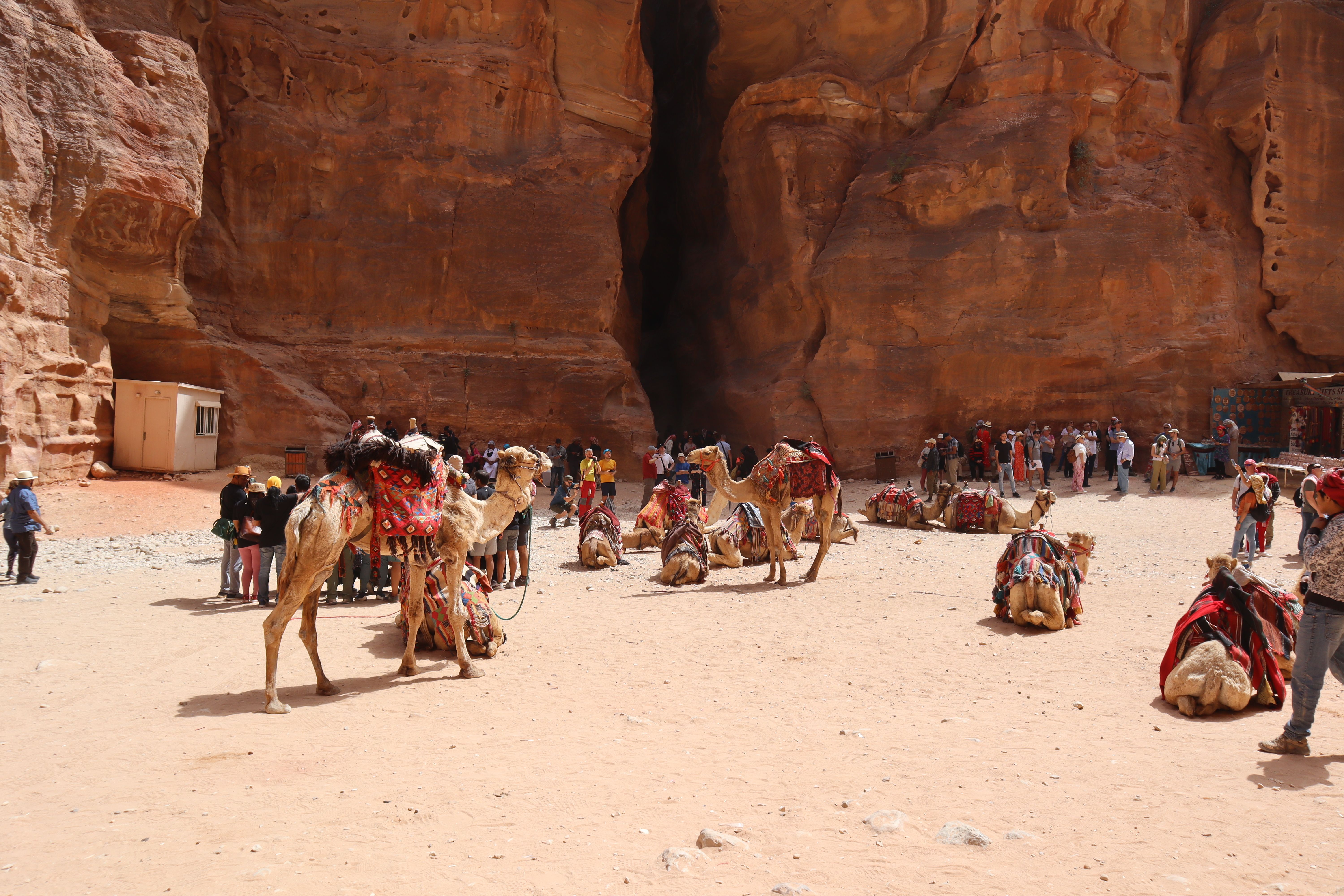 Camels and visitors at Al-Khazneh in Petra, Jordan