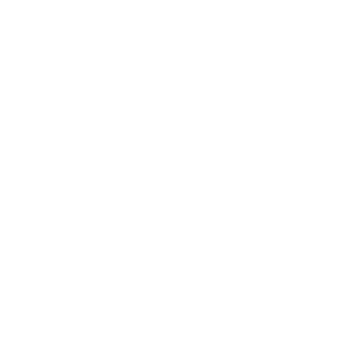 X Button