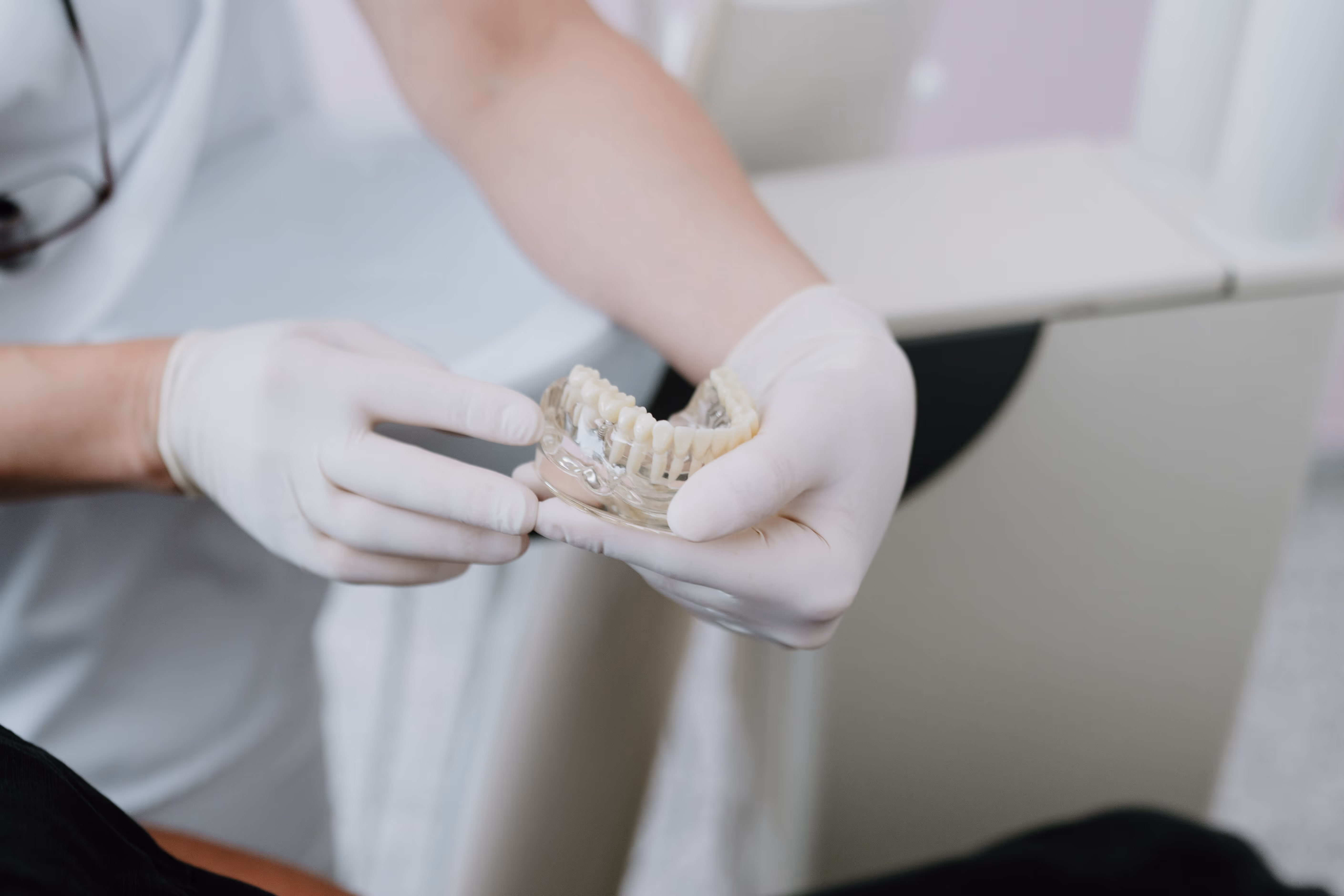 Person in white gloves holding a dental model with braces, showing teeth structure.