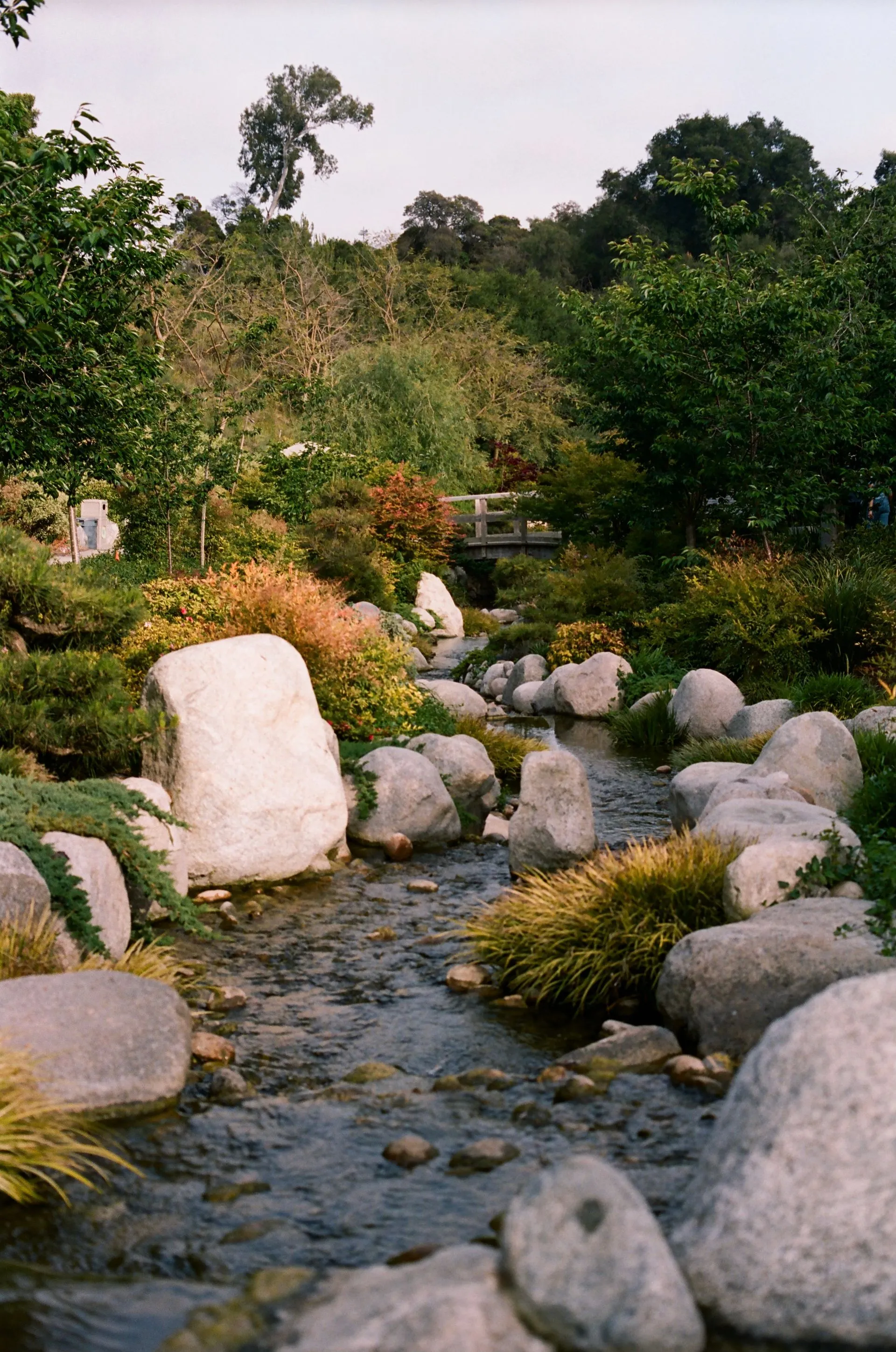 Calm stream flows through a garden with large rocks, green trees, bushes, and a wooden footbridge.
