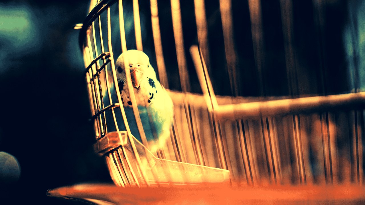 What Is the Good Trap? (And Why Your Audience Is Already In It)