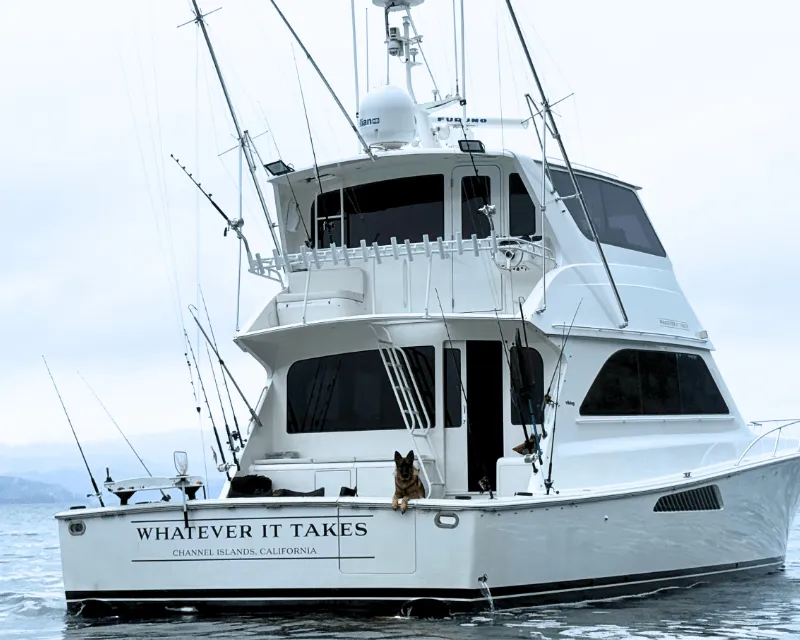 One-Hour Harbor Cruise